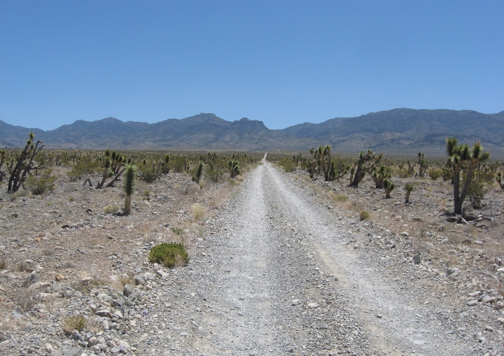 Desert Landscape